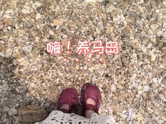 -养马岛旅游度假区