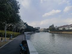 -嘉定紫藤园
