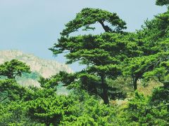 -泰山风景名胜区