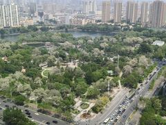 -君悦酒店·乐厨·高空自助餐(青年大街店)