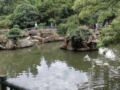 -东湖落雁景区