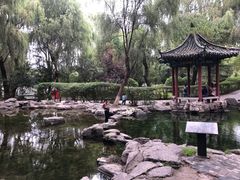 -百脉泉景区