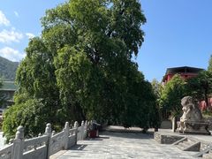 -报恩寺(平武县)