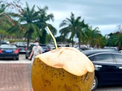 -三亚南山文化旅游区