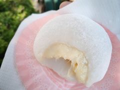 -澳门长洲糯米糍(柯打苏沙街店)