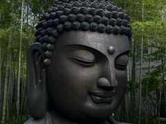 -杭州植物园