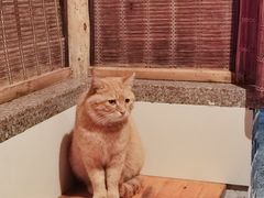 -快活林烧烤(红新路店)