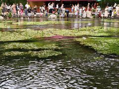 -水磨沟公园