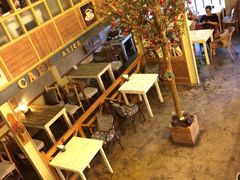 -Cafe Alice咖啡爱丽丝(奥城店)