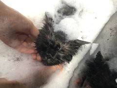 -MOLLY'S萌宠生活馆