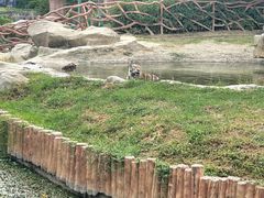 -常州淹城野生动物世界