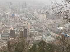 -兰山公园