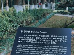 -红梅公园