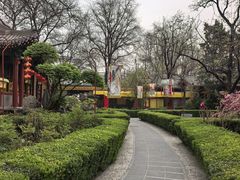 -白家大院·王府宫廷菜(苏州街店)