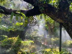 -Chom Cafe and Restaurant