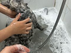 -安安宠医·臻爱宠物医院·宠保定点(营门口路分院)