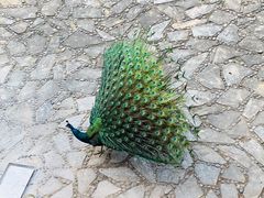 -苏州环秀晓筑养生度假村