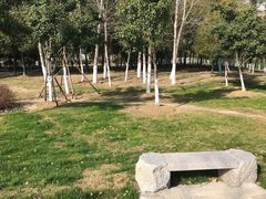 -滨湖塘西河公园