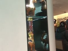 -杏花村水席楼·洛阳水席(老城十字街店)