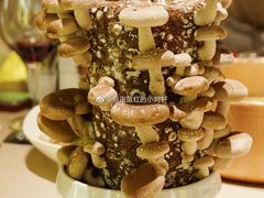 -ONE FULL 古董港式海鲜火锅