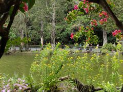 -深圳仙湖植物园