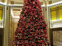 -上海和平饭店华懋阁 Cathay Room