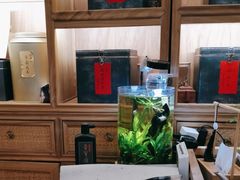 -隆德堂青瓷艺术·茶馆(故宫店)