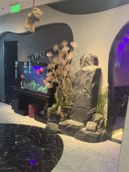 -TOP HAIR SALON