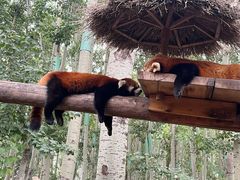 -北京野生动物园
