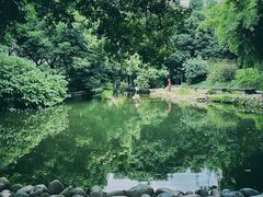 -成都市活水公园