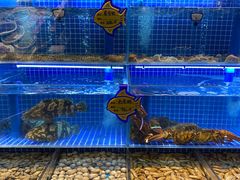 -小平岛開海水饺(浑南店)