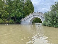 -上海海湾国家森林公园