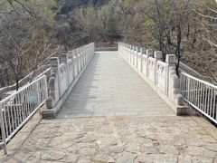 -白水寺森林公园