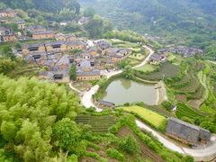 -杨家堂村