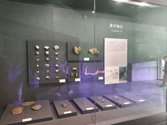 -北京周口店北京人遗址博物馆