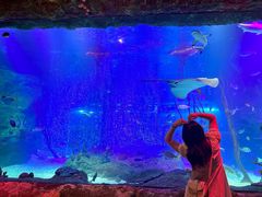 -沈阳海洋探索中心