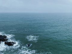 -广东惠东海龟国家级自然保护区
