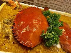 -茉莉.Red Crab