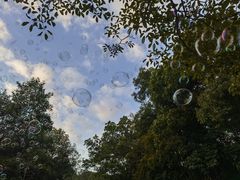 -红花湖景区