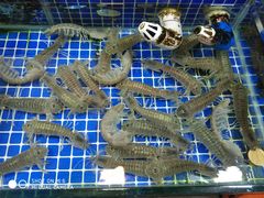 -板桥海鲜广场(文明东店)