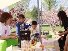 -TIPPI营地 房车主题·露营烧烤团建轰趴(天安假日店)