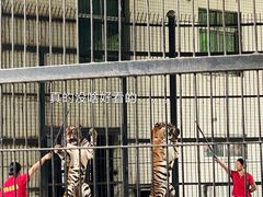 -广东茂名森林公园