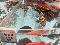 -渔傅·霞浦滩涂海鲜(建平店)
