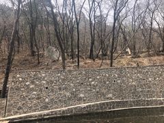 -北京上方山国家森林公园