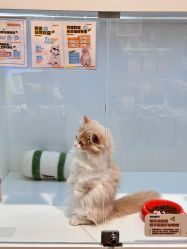 -UGIRL有个美甲