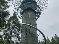 -黄海国家森林公园