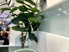 -丽莎沙拉轻食餐厅(国贸店)