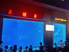 -太平洋海底世界