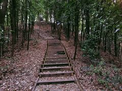-南山植物园