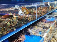 -鹊华居·地道鲁菜·海鲜·融合味(大明湖店)